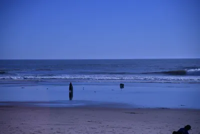 DSC_0871 (Large).JPG